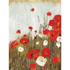 Scarlet Poppies - Cuadrostock