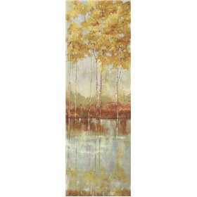 Reflections I