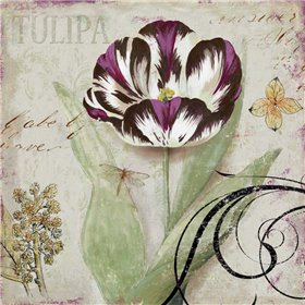 Tulipa II - Cuadrostock