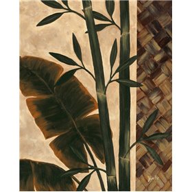 Temperate Flora