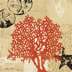 Coral Impressions IV