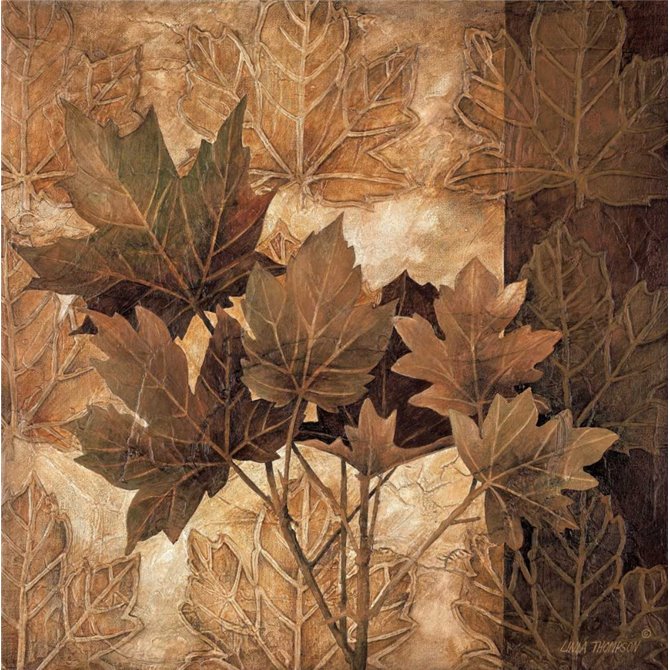 Leaf Patterns II - Cuadrostock