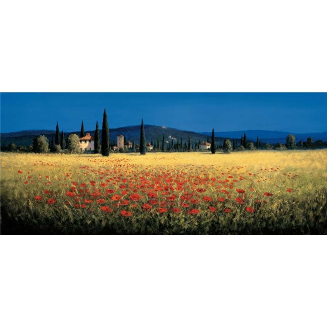 Tuscan Panorama - Poppies - Cuadrostock