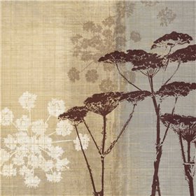 Lace II