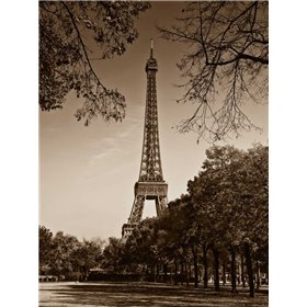 An Afternoon Stroll - Paris II - Cuadrostock