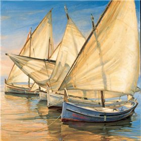 Windward Latin Sails
