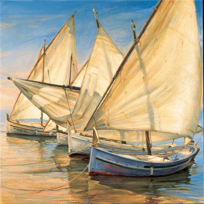 Windward Latin Sails - Cuadrostock