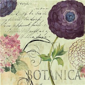 Botanica - Cuadrostock