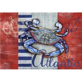 Maritime Crab - Cuadrostock