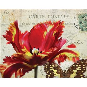 Carte Postale Tulip I - Cuadrostock