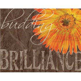 Gerbera II