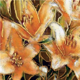 Apricot Dream II