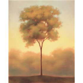 Solitude III