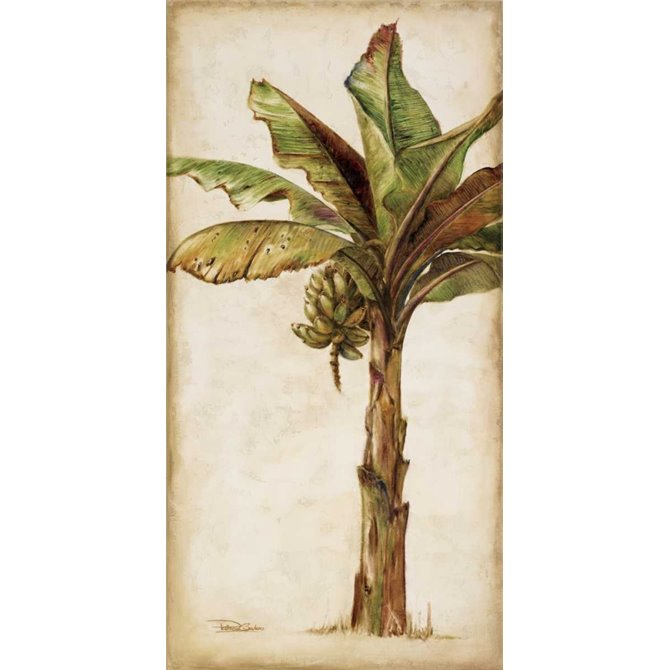 Tropic Banana II