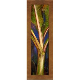 Blue Plantain
