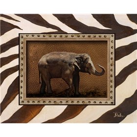 New Zebra Inspiration I