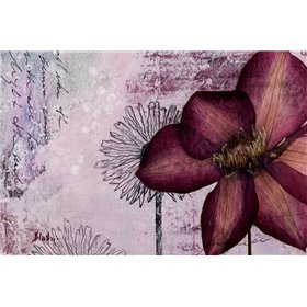 Pressed Flowers I
