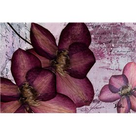Pressed Flowers II