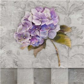 Hydrangeas and Stripes II