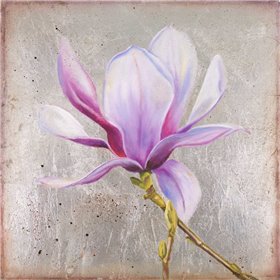 Magnolia on Silver Leaf II