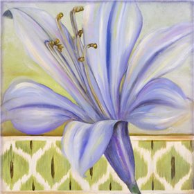 African Lily I