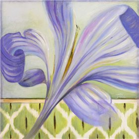 African Lily II