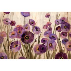 Pink and Purple Flowers - Cuadrostock