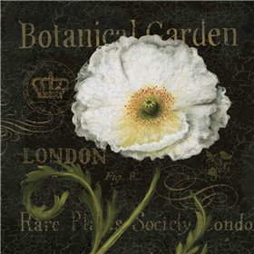 Botanical Garden II