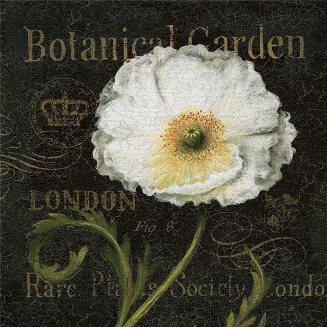 Botanical Garden II