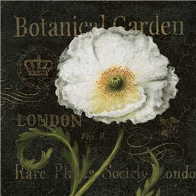 Botanical Garden II