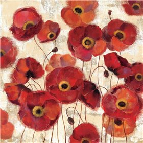 Bold Poppies - Cuadrostock