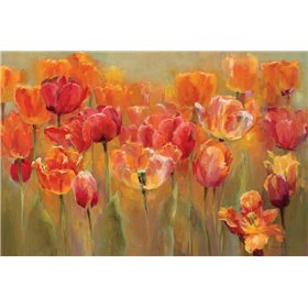 Tulips in the Midst III - Cuadrostock
