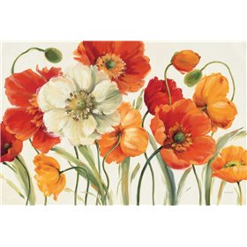 Poppies Melody I - Cuadrostock
