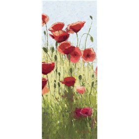 Mountain Poppies I - Wag