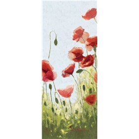 Mountain Poppies II - Wag