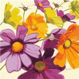 Cosmos I