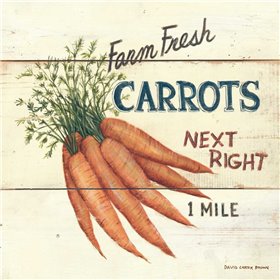 Farm Fresh Carrots
