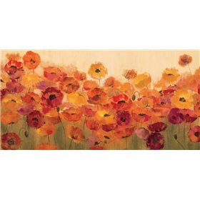 Summer Poppies