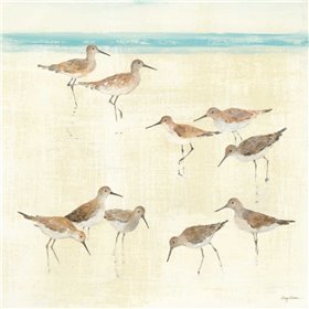 Sandpipers - Cuadrostock