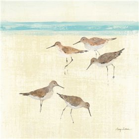 Sandpipers Square II