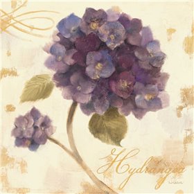 Cuadro para dormitorio - Abundant Hydrangea I - Cuadrostock