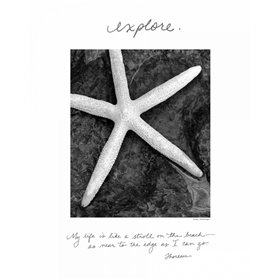 Explore