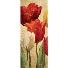 Tulip Fantasy on Cream II - Cuadrostock