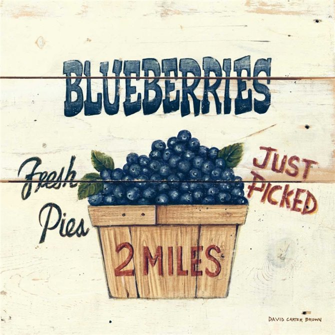 Blueberries Just Picked