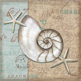 Linen Shells III