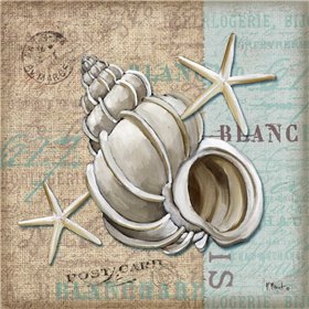 Linen Shells IV
