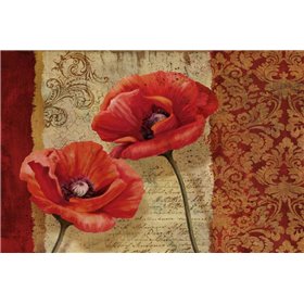 Poppy Flourish - Cuadrostock