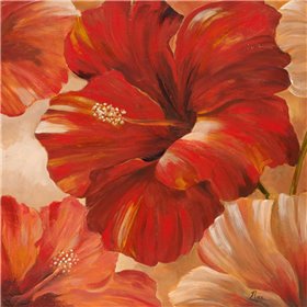 Sunlit Bloom II