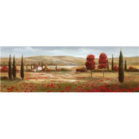Tuscan Poppies II