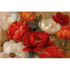 Jardin De Corail